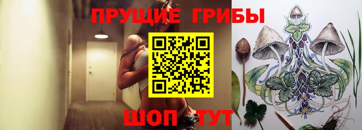 Галлюциногенные грибы прущие грибы Мариинск
