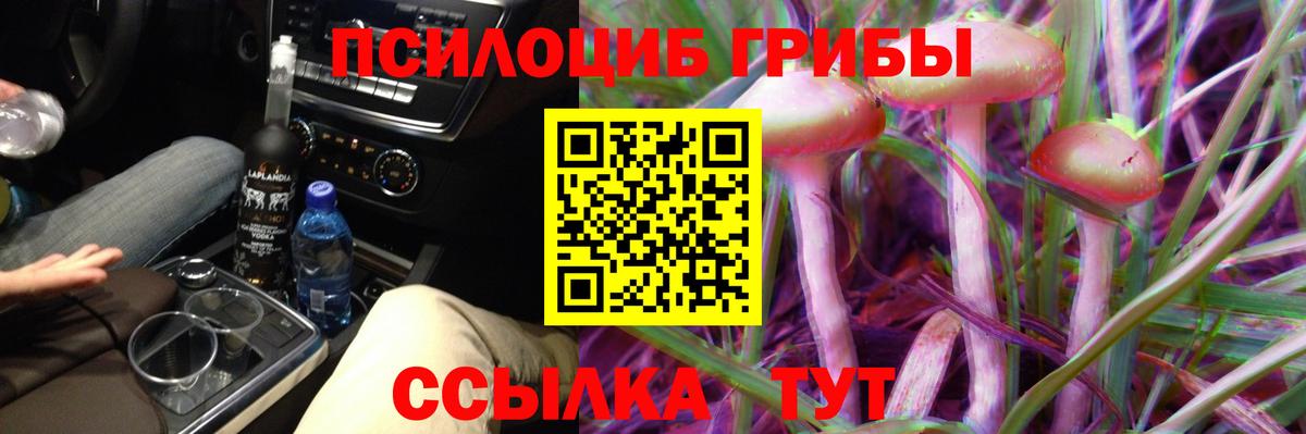 Псилоцибиновые грибы прущие грибы Мариинск